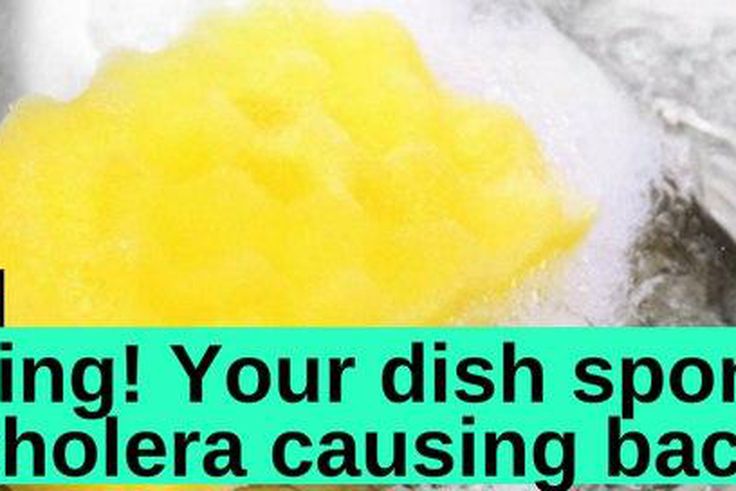 ___7088266___https:______static.pulse.com.gh___webservice___escenic___binary___7088266___2017___8___3___10___sponge+a