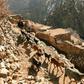 The High Atlas mountains are a popular trekking destination for foreign tourists visiting Morocco