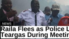 ___6988439___https:______static.pulse.com.gh___webservice___escenic___binary___6988439___2017___7___13___16___Rao+Teargas