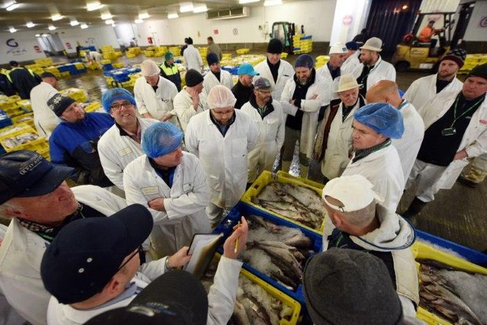 According to government figures, British vessels caught 708,000 tonnes of fish in 2015, worth £775 million ($1 billion, 894 million euros)