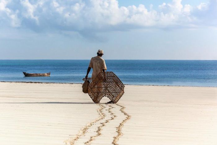 ___6790165___https:______static.pulse.com.gh___webservice___escenic___binary___6790165___2017___6___6___10___Kwale+County