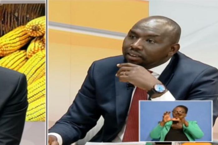 Senator Murkomen and MP Kutuny during News Night interview on Citizen TV