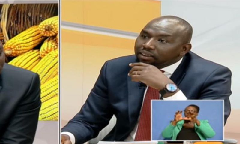 Senator Murkomen and MP Kutuny during News Night interview on Citizen TV