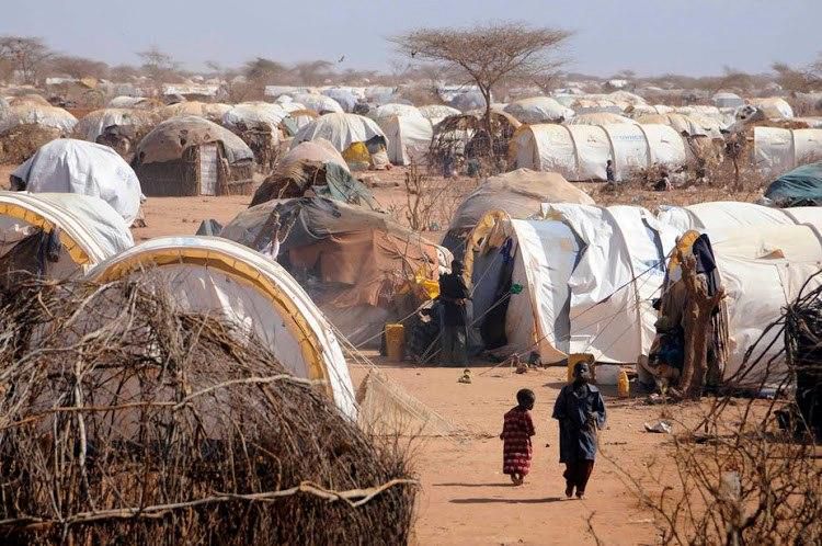 A section of the Daadab Refugee Camp