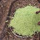 Libyan authorities say they want to develop the olive oil industry, but farmers and workers view such pledges with scepticism