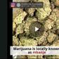___8322072___2018___4___30___13___marijuana