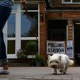 Walkies meant a trip to the polling station for many dogs Thursday as canine companions accompanied their owners to vote in Britain's general election.
