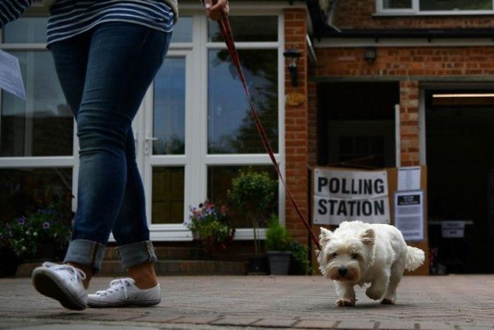 Walkies meant a trip to the polling station for many dogs Thursday as canine companions accompanied their owners to vote in Britain's general election.