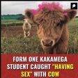 ___7939455___2018___2___5___17___Kakamega+Boy+caught+having+sex+with+a+cow