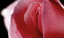 Clitoral orgasm.