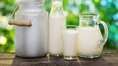 ___9118058___2018___11___19___8___4smilk-other-milk