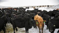 Abandoned America: The Hard Truths of Trying to 'Save' the Rural Economy