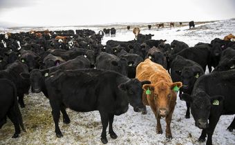 Abandoned America: The Hard Truths of Trying to 'Save' the Rural Economy