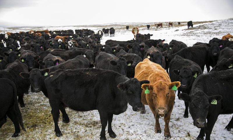 Abandoned America: The Hard Truths of Trying to 'Save' the Rural Economy