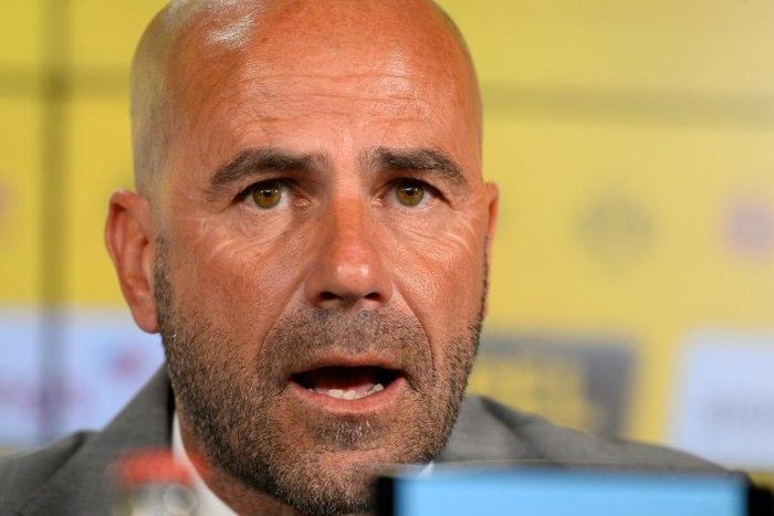 Peter Bosz has been named as the new coach of Borussia Dortmund