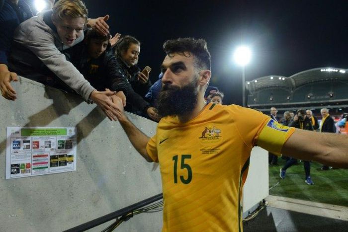Australian captain Mile Jedinak will sit out a friendly with Brazil and this month's Confederations Cup with a groin injury
