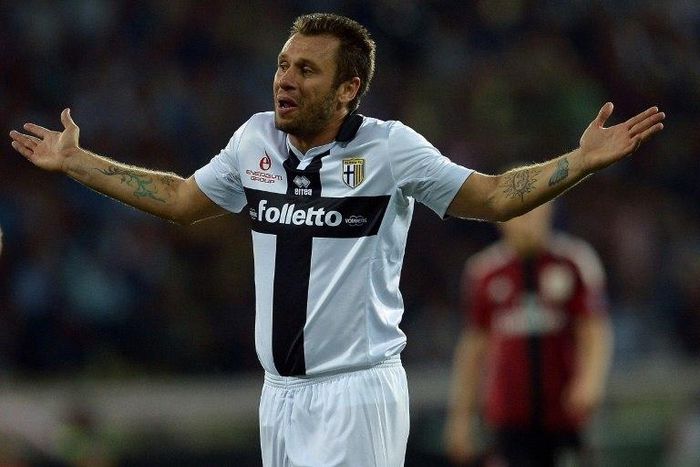 Antonio Cassano, pictured in 2014, says he wants to "have a crazy season" with Verona