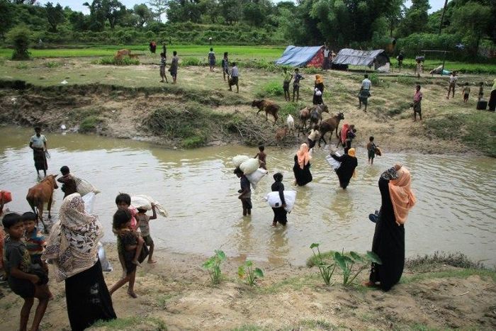 Rohingya refugees head back to Myanmar as Bangladeshi border guards drive them away from Bangladeshi territory
