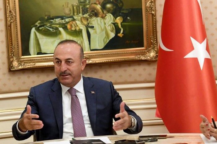 Turkish Foreign Minister Mevlut Cavusoglu, pictured in June 2014, intervened on behalf of the two reporters detained in Mecca
