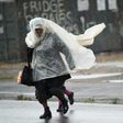 Eight people have died in a ferocious storm that pummelled South Africa's west coast