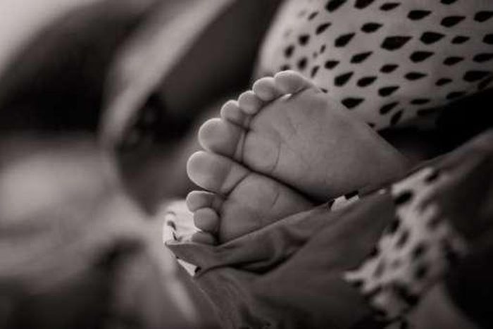 ___8951423___2018___10___8___13___pexels-photo-590470