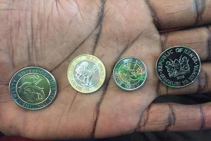 A set of the new look Kenyan coin currencies unveiled by President Uhuru Kenyatta