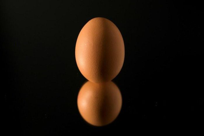 Germans are in a scramble over the number of tainted eggs in their country