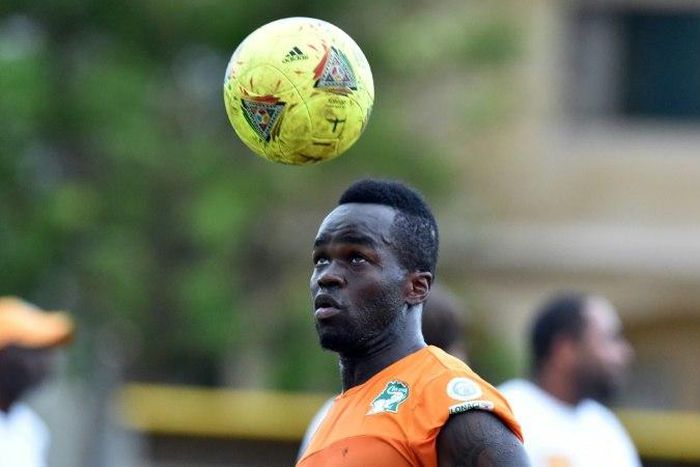 Cheick Tiote was part of the Ivory Coast squad that delivered the 2015 Africa Cup of Nations after a 23-year drought