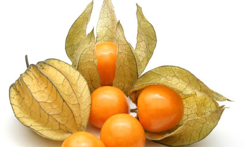 golden berries
