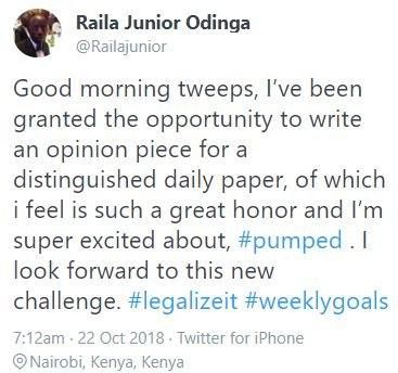 Raila Junior lands new role days after father's appointment