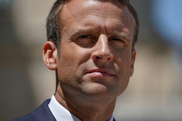 French President Emmanuel Macron could secure one of the biggest parliamentary majorities in recent French history