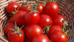 Fresh tomatoes