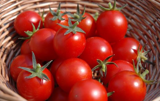 Fresh tomatoes