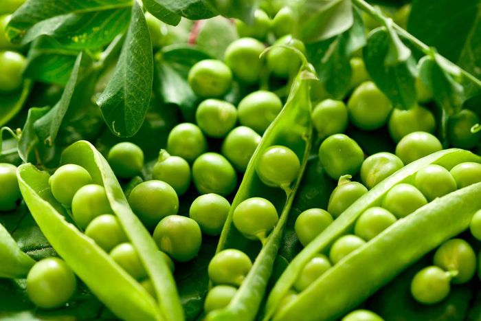 ___9126298___2018___11___21___13___petits-pois