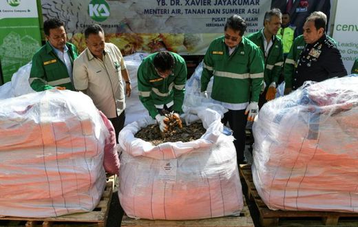 Malaysia is battling to clamp down on rife trafficking through its borders of the ant-eating mammals, whose scales are highly valued in traditional Chinese medicine