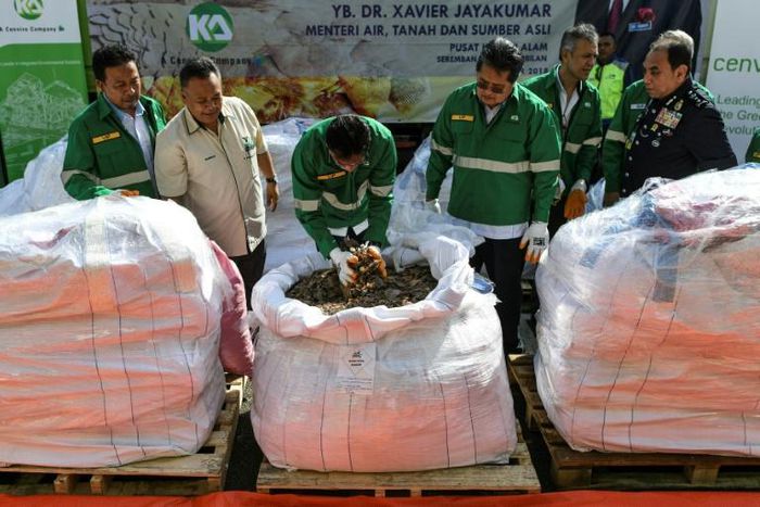 Malaysia is battling to clamp down on rife trafficking through its borders of the ant-eating mammals, whose scales are highly valued in traditional Chinese medicine