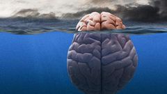 ___7048795___https:______static.pulse.com.gh___webservice___escenic___binary___7048795___2017___7___26___1___scary-way-snoring-can-sink-brain