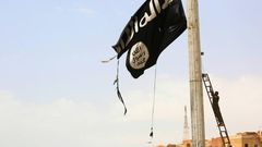 The Islamic State group is under growing pressure in Syria and Iraq