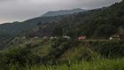 One of the most important conservation sites in the world, Virunga national park is Africa's oldest nature reserve and famed for its endangered mountain gorillas