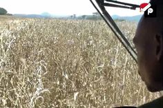 The Biggest Corruption Stories in Kenya