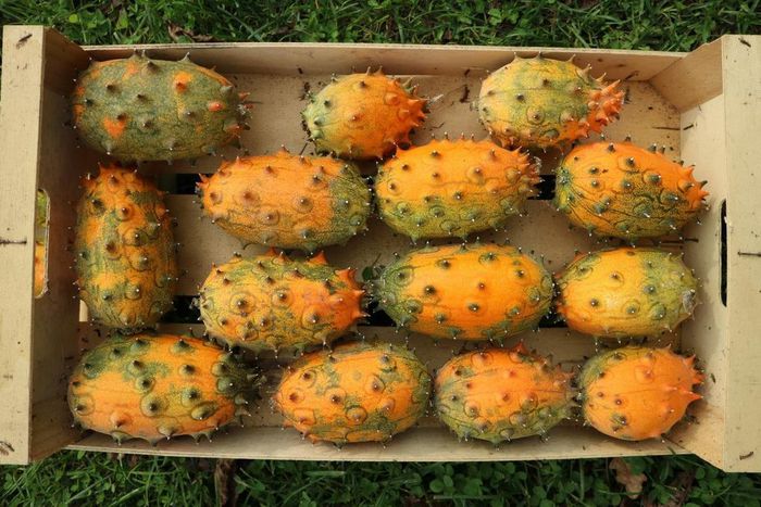 ___8914859___2018___9___28___16___IMG_5100-Medium