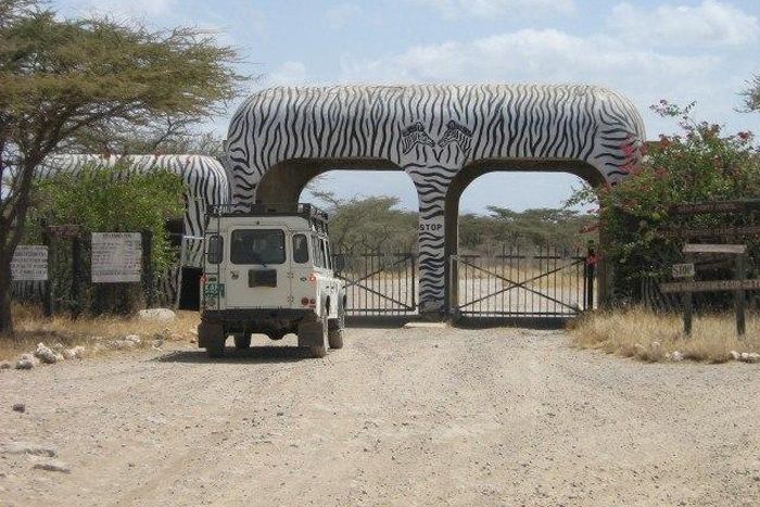 ___6872386___https:______static.pulse.com.gh___webservice___escenic___binary___6872386___2017___6___21___8___1430240440