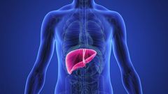 ___9187784___2018___12___11___9___liver_1