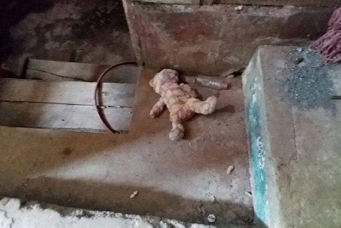 This photo taken in June shows a teddy bear outside an abandoned house near the frontline in Marawi on the southern island of Mindanao, as fighting between government troops and Islamist militants enters its fourth week