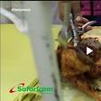 ___7712493___2017___12___11___14___Twaeza+Safaricom-
