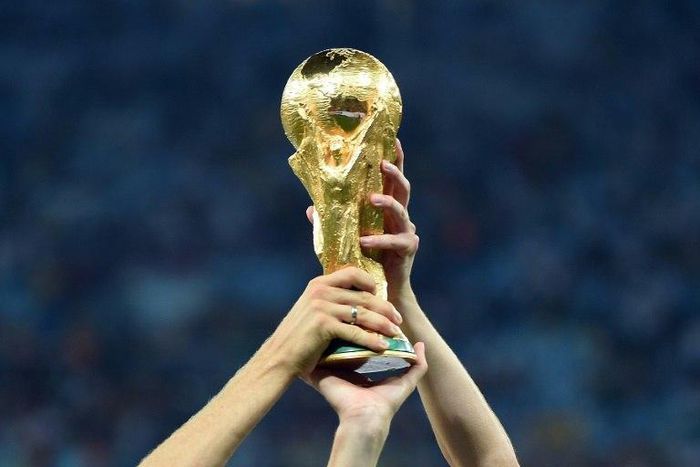 Morocco's football federation (FRMF) announced it had told the sport's world governing body FIFA it will bid to host the 2026 World Cup