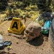 Forensic scientists in Ciudad Juarez are using the rehydration of corpses as a weapon to fight criminal impunity