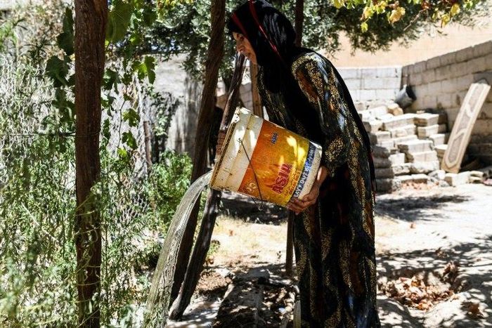 Warda al-Jassem waters her grape vine during a trip back to her home in Raqa on July 15, 2017