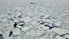 Warming in Arctic Raises Fears of a 'Rapid Unraveling' of the Region