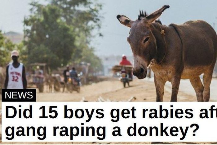 ___7154616___https:______static.pulse.com.gh___webservice___escenic___binary___7154616___2017___8___16___11___fonirf